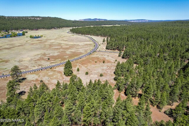 295 E Foxboro Rd, Munds Park, AZ 86017 - photo 21