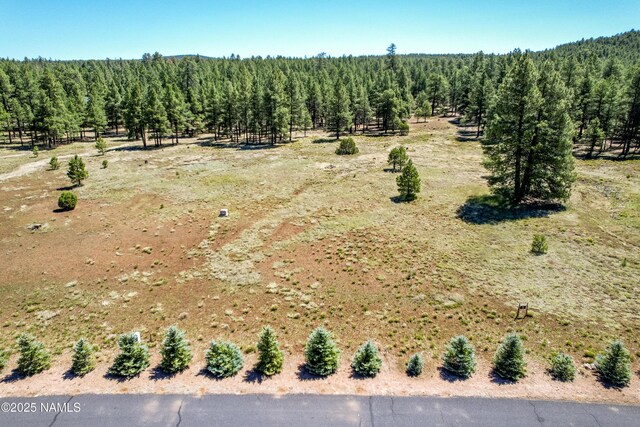 295 E Foxboro Rd, Munds Park, AZ 86017 - photo 12
