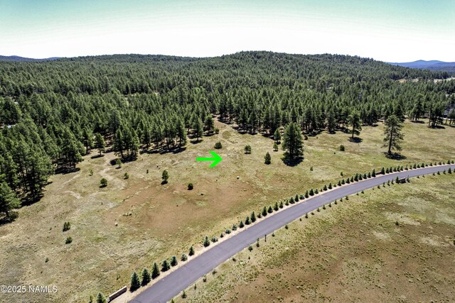 295 E Foxboro Rd, Munds Park, AZ 86017 - photo 18