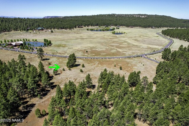 295 E Foxboro Rd, Munds Park, AZ 86017 - photo 20