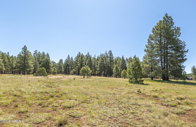 295 E Foxboro Rd, Munds Park, AZ 86017 - photo 14