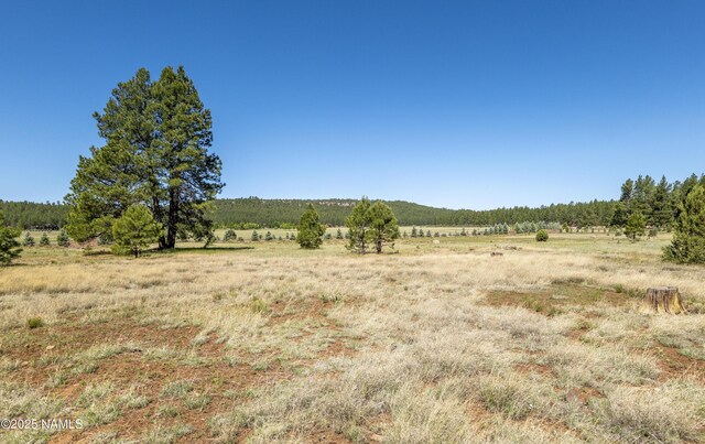 295 E Foxboro Rd, Munds Park, AZ 86017 - photo 11