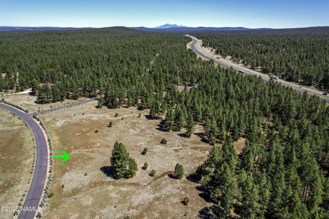 295 E Foxboro Rd, Munds Park, AZ 86017 - photo 22