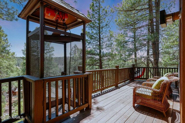 1070 Lake Meadow Cir, Munds Park, AZ 86017 - photo 29