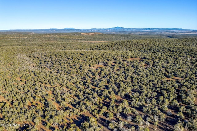 bird's eye view featuring a mountain view