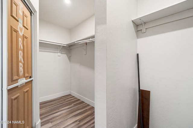 spacious closet with wood-type flooring