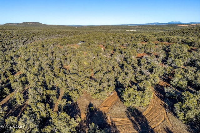 aerial view with a mountain view