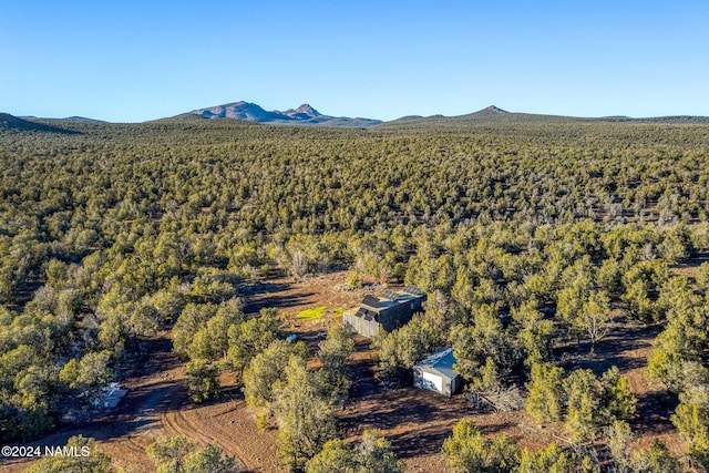 aerial view featuring a mountain view