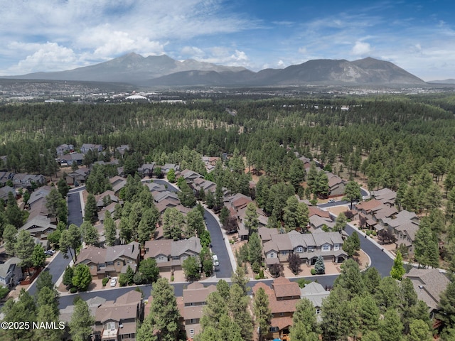 1045 E Sterling Ln, Flagstaff, AZ 86005 - photo 38