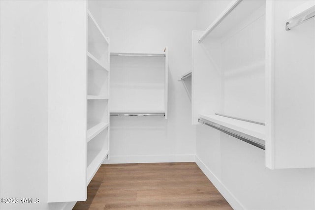 walk in closet featuring light hardwood / wood-style flooring