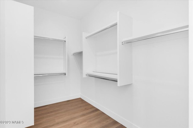 walk in closet with hardwood / wood-style flooring