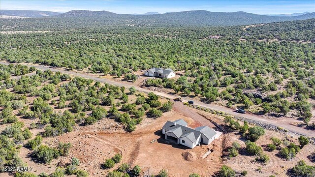 bird's eye view featuring a mountain view