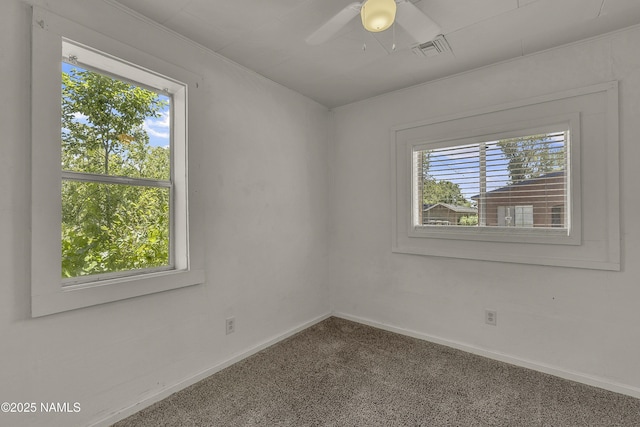 12 E Dupont Ave, Flagstaff, AZ 86001 - photo 12