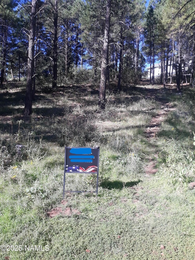 4403 E Coburn Dr Unit 87, Flagstaff, AZ 86004 - photo 3