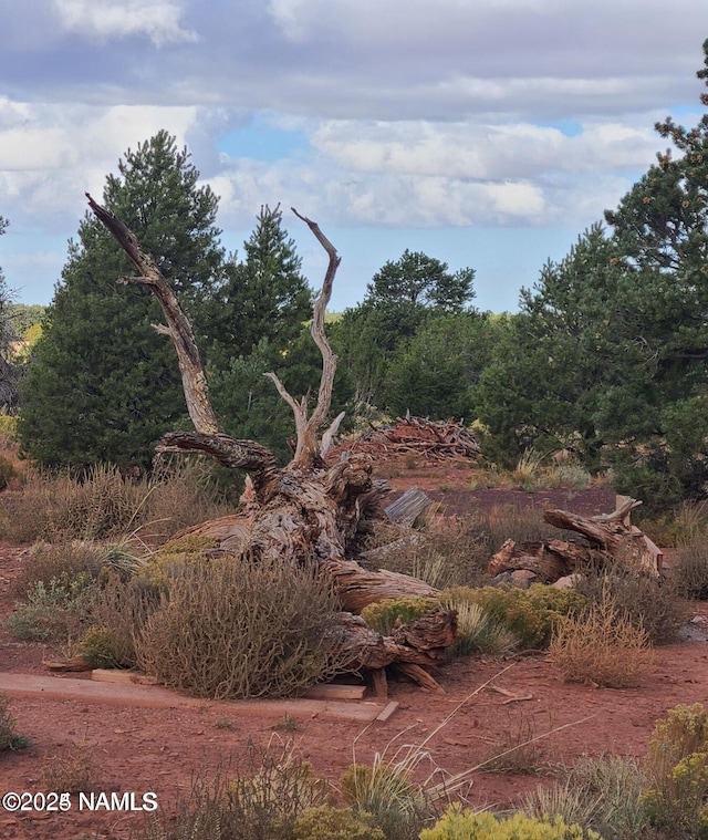 4342 Lasso Loop, Williams, AZ 86046 - photo 10