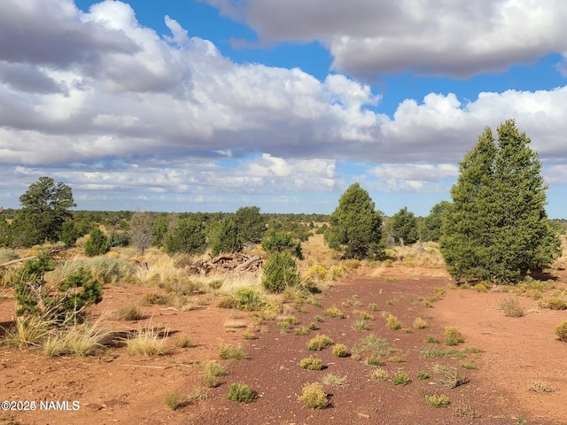 4342 Lasso Loop, Williams, AZ 86046 - photo 7