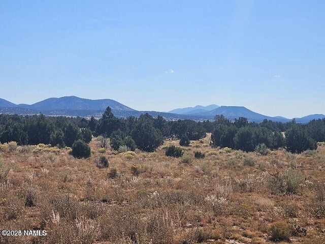 4342 Lasso Loop, Williams, AZ 86046 - photo 3