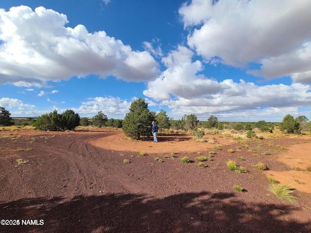 4342 Lasso Loop, Williams, AZ 86046 - photo 9