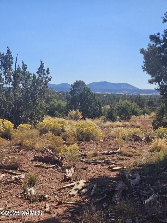 4342 Lasso Loop, Williams, AZ 86046 - photo 5