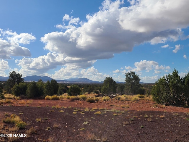 4342 Lasso Loop, Williams, AZ 86046 - photo 1