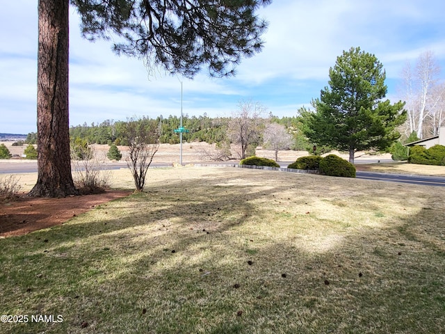 view of yard