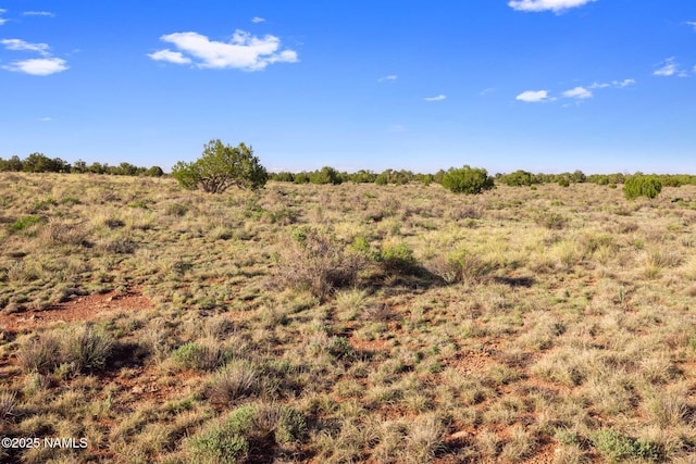 591 S Palmetto Rd, Williams, AZ 86046 - photo 2
