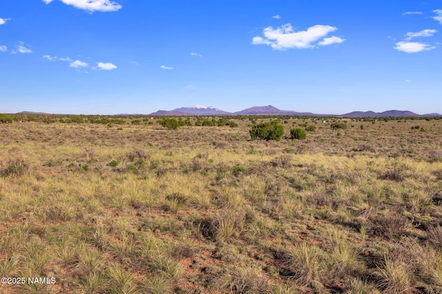 591 S Palmetto Rd, Williams, AZ 86046 - photo 7