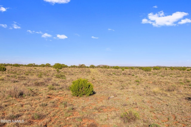 591 S Palmetto Rd, Williams, AZ 86046 - photo 6