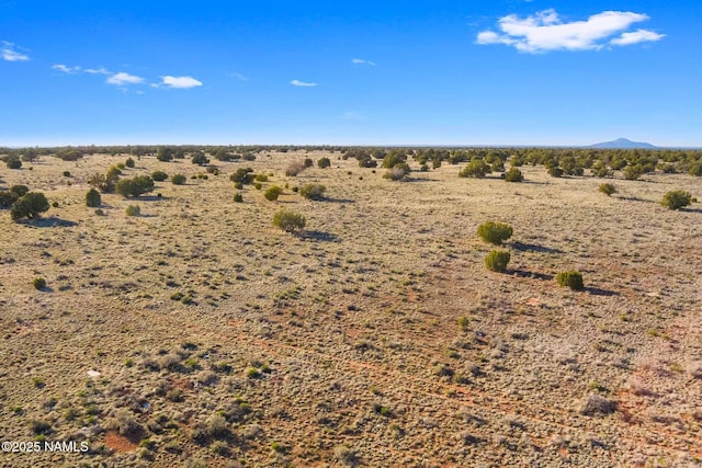 591 S Palmetto Rd, Williams, AZ 86046 - photo 14