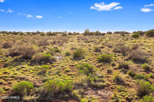 591 S Palmetto Rd, Williams, AZ 86046 - photo 1