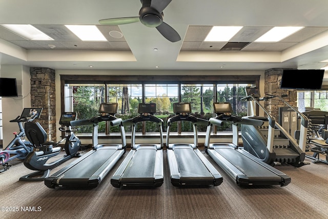 gym featuring a healthy amount of sunlight, a drop ceiling, ceiling fan, and a raised ceiling