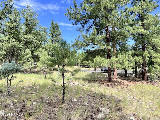 1601 Mule Deer Pl Unit 120, Happy Jack AZ, 86024 land for sale