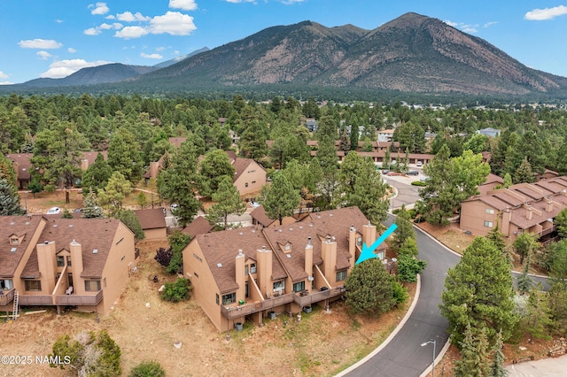 2388 N Whispering Pines Way, Flagstaff, AZ 86004 - photo 19