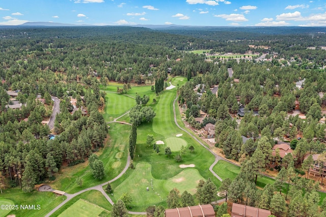 2388 N Whispering Pines Way, Flagstaff, AZ 86004 - photo 23