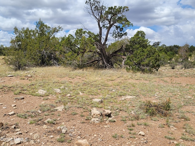 137 E Jackpine Ln, Williams, AZ 86046 - photo 1