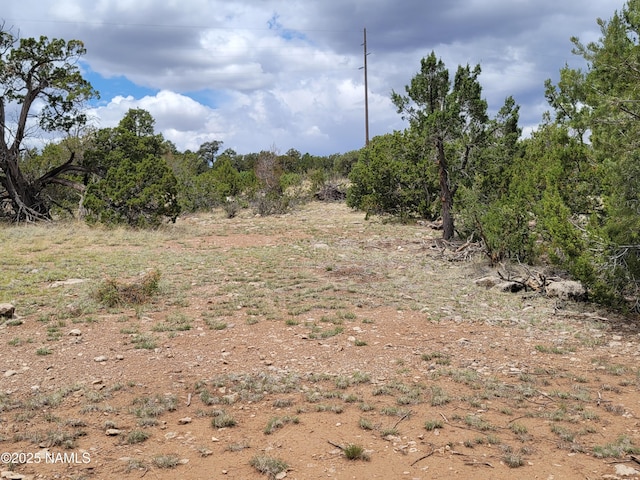 137 E Jackpine Ln, Williams, AZ 86046 - photo 4