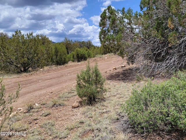 137 E Jackpine Ln, Williams, AZ 86046 - photo 3