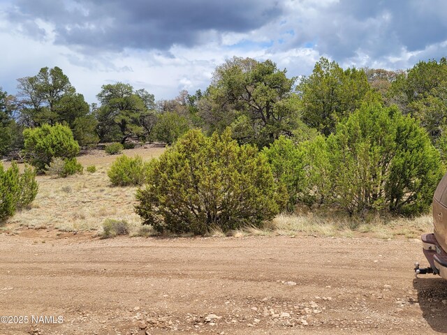 137 E Jackpine Ln, Williams, AZ 86046 - photo 7