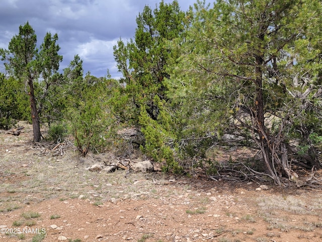 137 E Jackpine Ln, Williams, AZ 86046 - photo 6