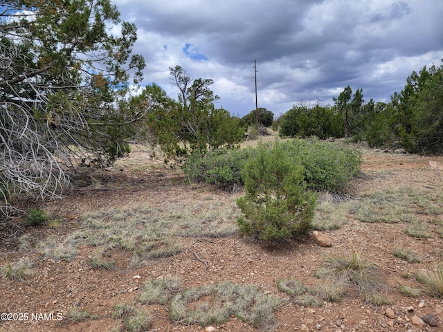 137 E Jackpine Ln, Williams, AZ 86046 - photo 8