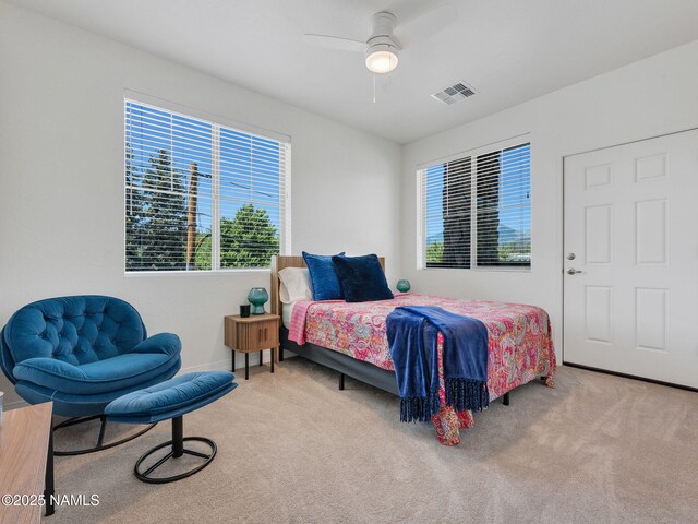 207 S Beaver St Unit 202, Flagstaff, AZ 86001 - photo 20