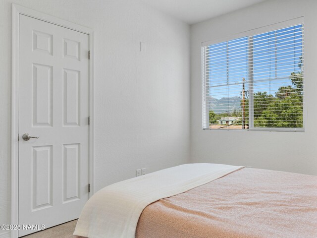 207 S Beaver St Unit 202, Flagstaff, AZ 86001 - photo 27