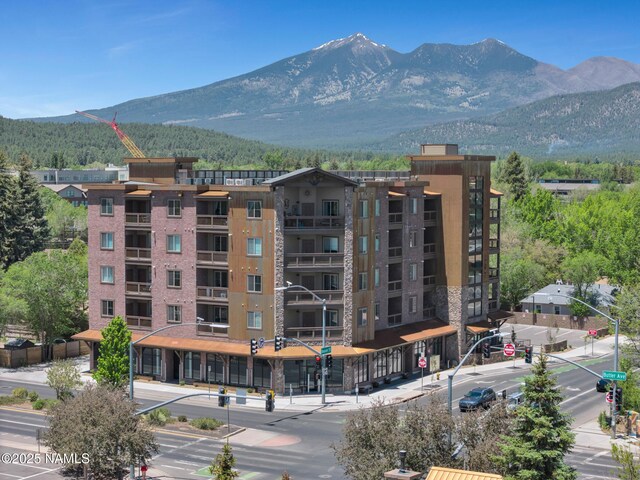 207 S Beaver St Unit 202, Flagstaff, AZ 86001 - photo 3