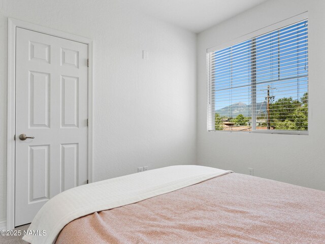 207 S Beaver St Unit 202, Flagstaff, AZ 86001 - photo 28