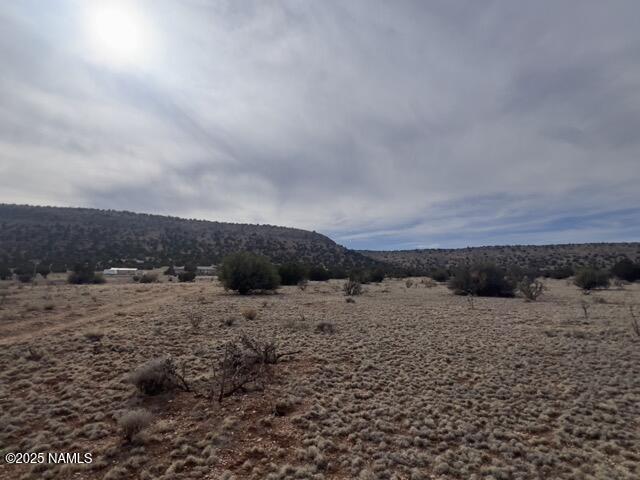 28184 Ventura Dr, Seligman, AZ 86337 - photo 9