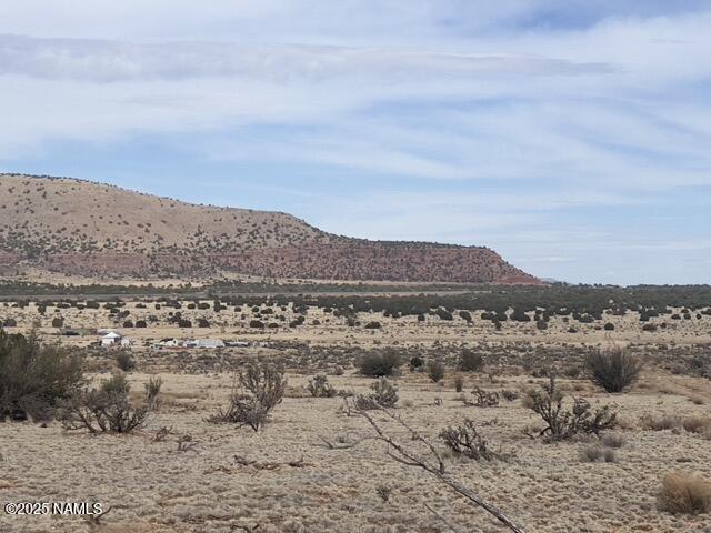28184 Ventura Dr, Seligman, AZ 86337 - photo 11