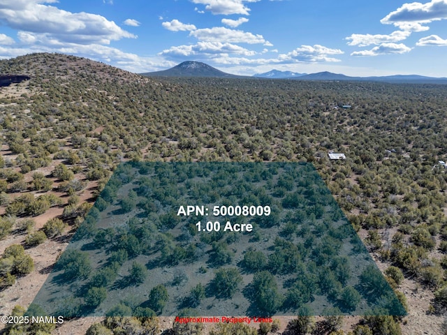 804 E Bighorn Trl, Williams, AZ 86046