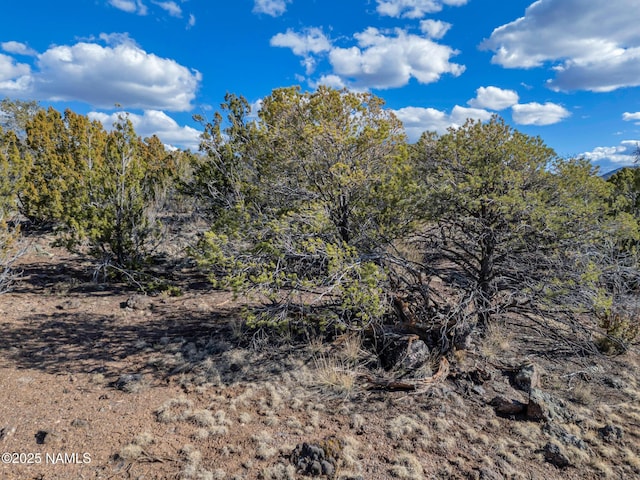 804 E Bighorn Trl, Williams, AZ 86046
