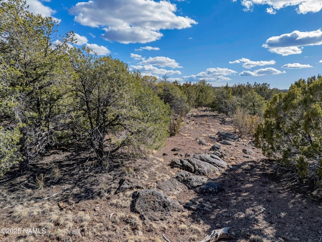 804 E Bighorn Trl, Williams, AZ 86046