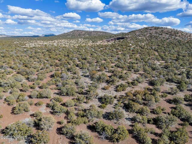 804 E Bighorn Trl, Williams, AZ 86046